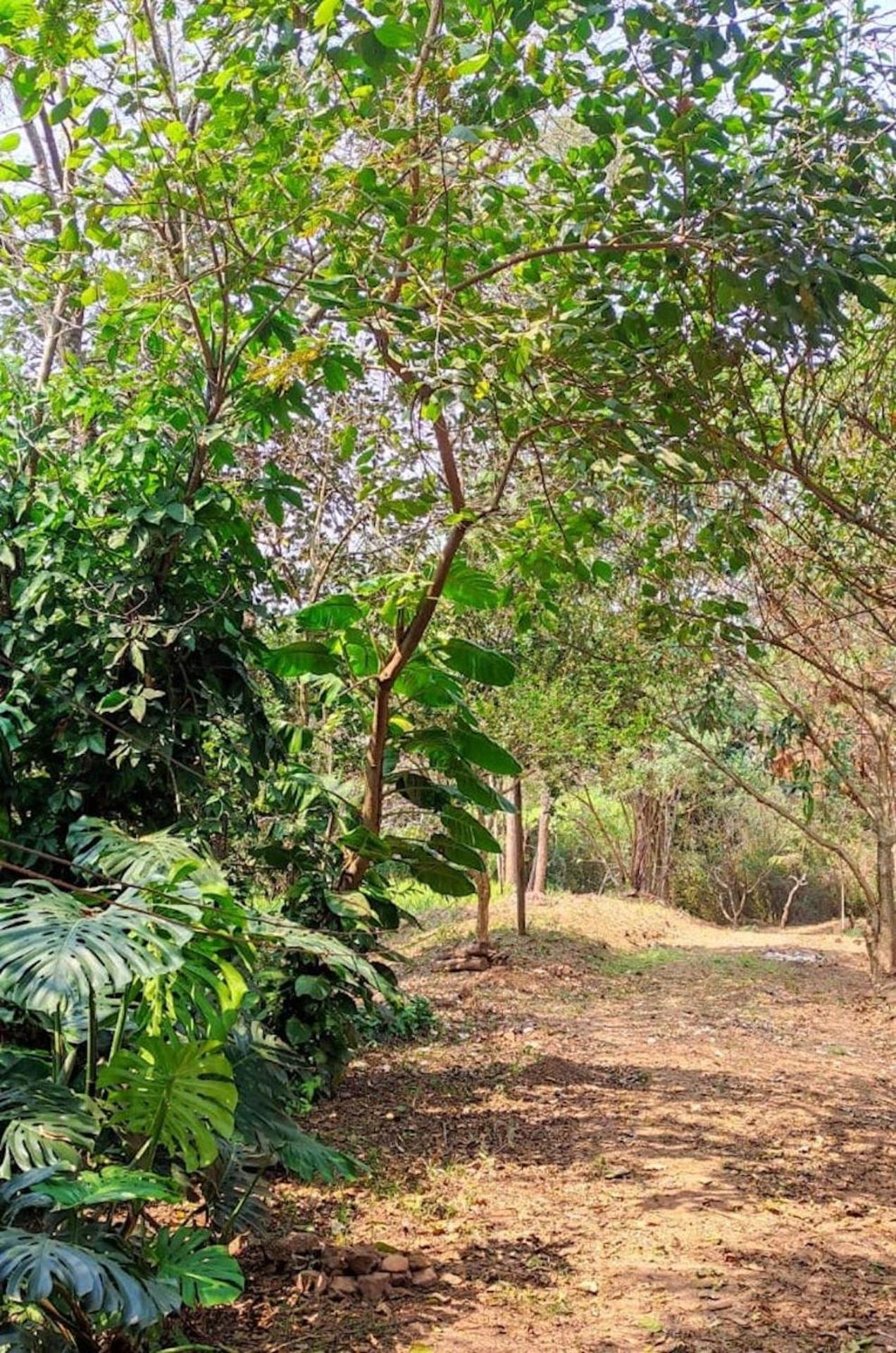 Country house Casa Colonial Em Itu - Sorocaba Mairinque